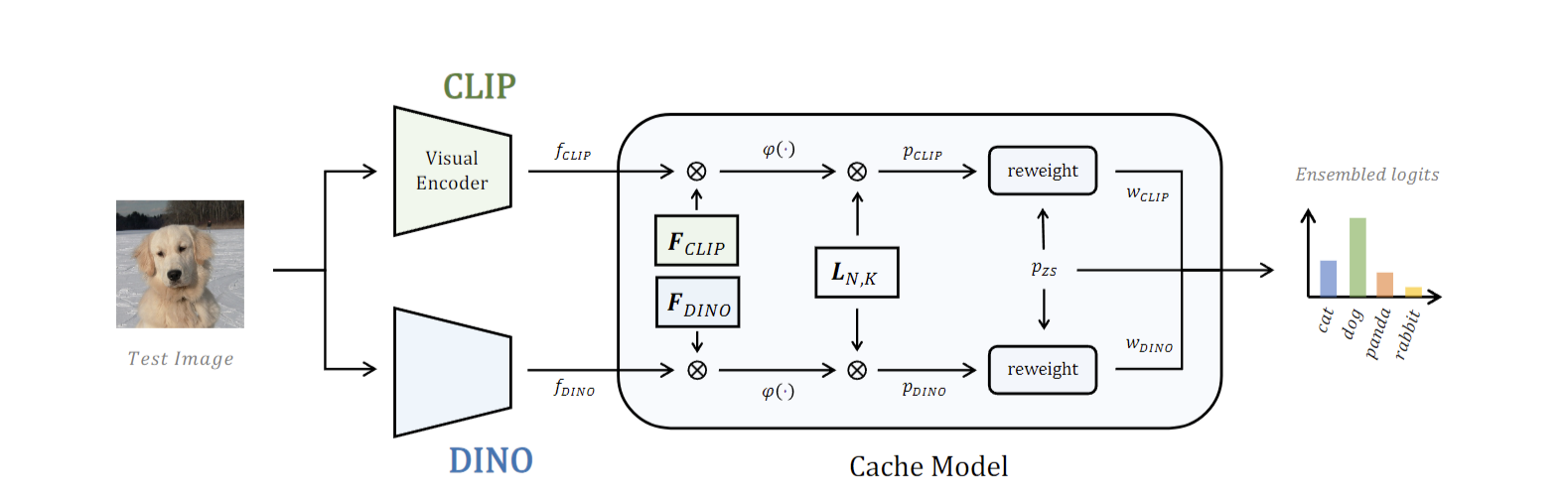 cafo2